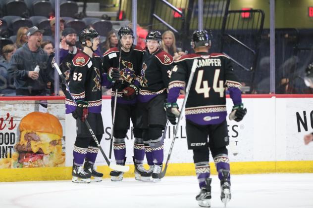 Tucson Roadrunners gather following a goal
