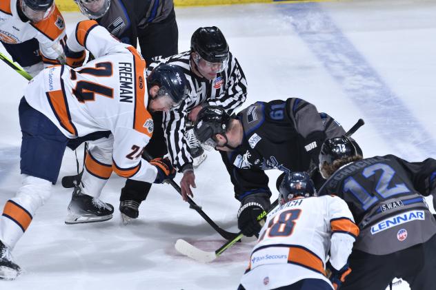 Greenville Swamp Rabbits' Benjamin Freeman versus Orlando Solar Bears' Luke Boka