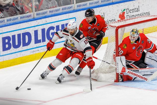Grand Rapids Griffins' Zachary Aston-Reese in action