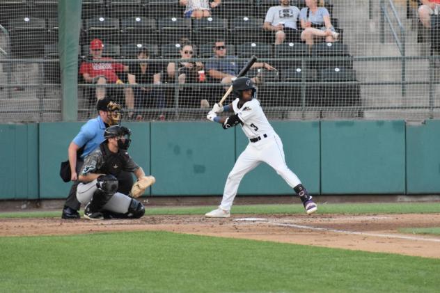 Tri-City Dust Devils' Kevin Bruggeman at bat