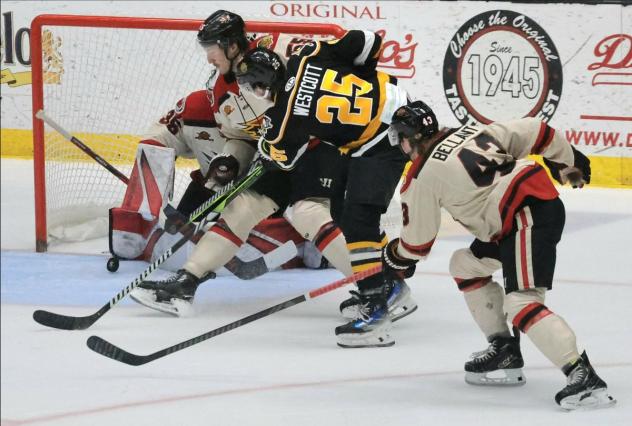 Wheeling Nailers forward Jared Westcott shoots agains the Indy Fuel