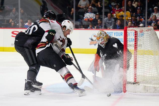 Tucson Roadrunners forward Sam Lipkin muscles inside for a shot