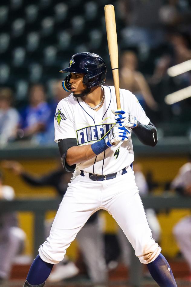 Columbia Fireflies' Erick Pena at bat