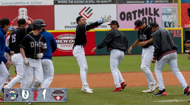 Hickory Crawdads celebrate a walk-off win