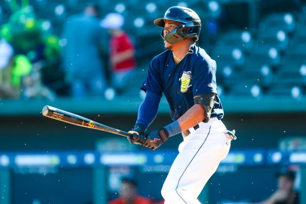 Columbia Fireflies' Daniel Vazquez In Action