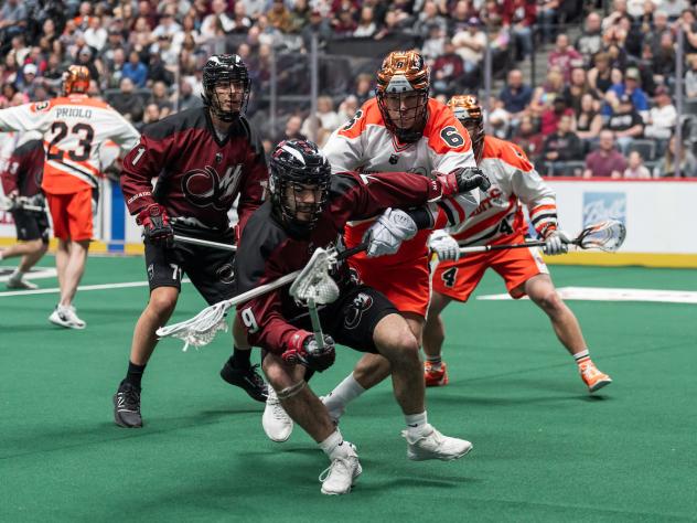 Colorado Mammoth battle the Buffalo Bandits