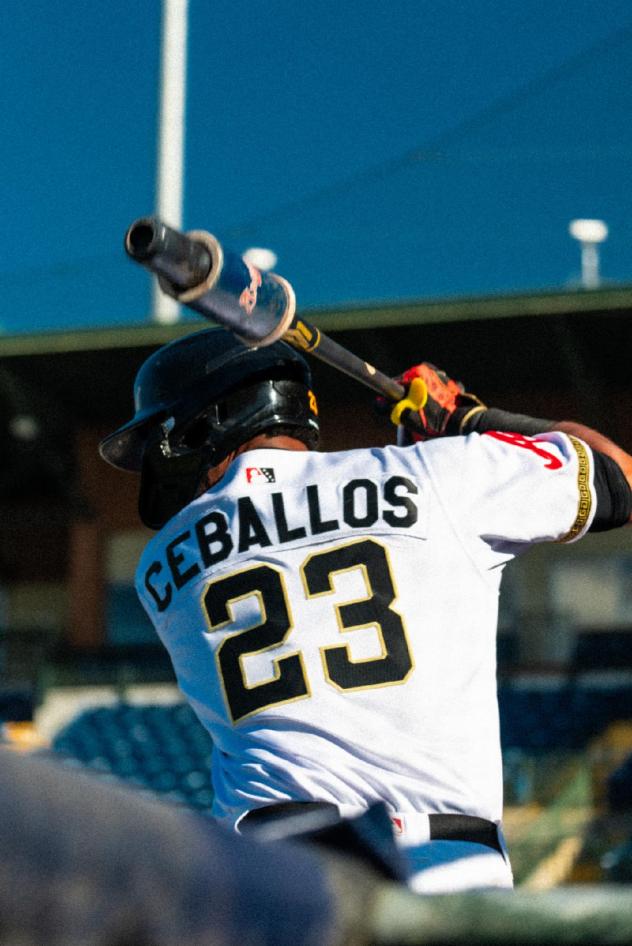 Rome Braves' Sabin Ceballos at bat