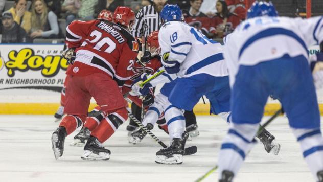 Wichita Thunder battle the Rapid City Rush
