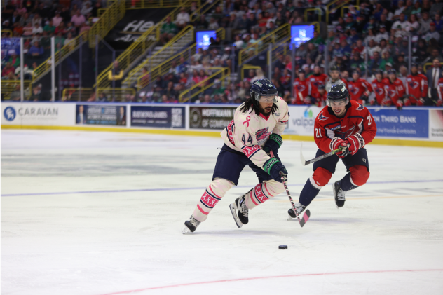 Florida Everblades' Nathan Staios versus South Carolina Stingrays' Jacob Hudson