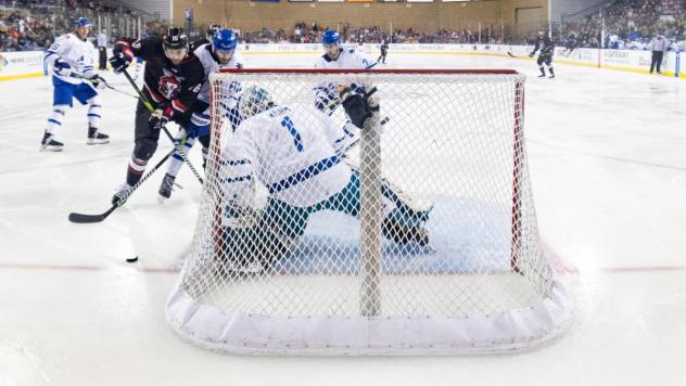 Wichita Thunder's Beck Warm in action