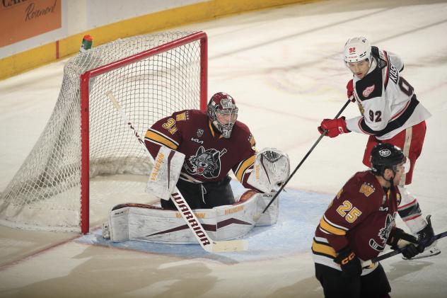 Chicago Wolves' Adam Scheel and Chris Terry and Grand Rapids Griffins' Marco Kasper on game night