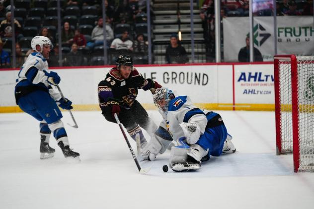Tucson Roadrunners left wing John Leonard reaches for the puck