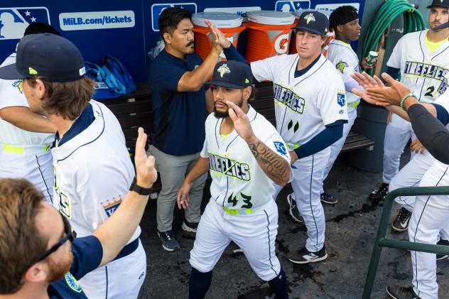 Eduardo Herrera of the Columbia Fireflies gets high fives in the dugout