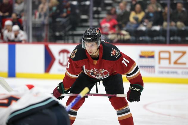 Tucson Roadrunners' Dylan Guenther on game night