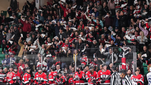 A big crowd watches the Belleville Senators