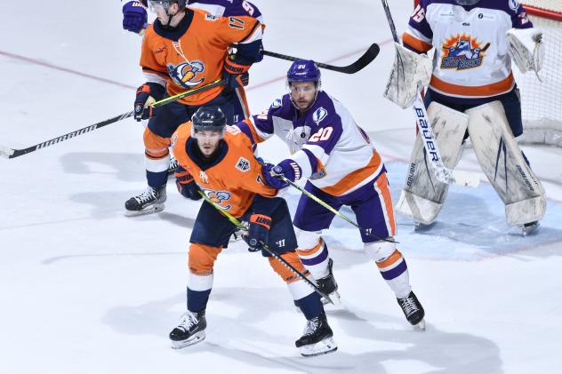 Greenville Swamp Rabbits battle the Orlando Solar Bears