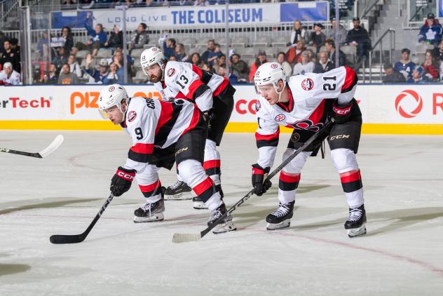 Belleville Senators' Angus Crookshank, Egor Sokolov, and Maxence Guenette on the ice