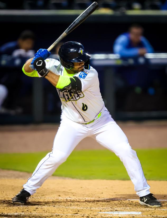 Columbia Fireflies' Chris Brito at bat