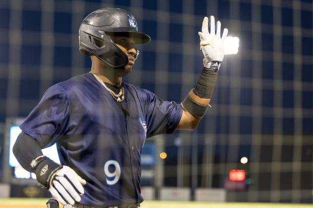 Tampa Tarpons' Roderick Arias