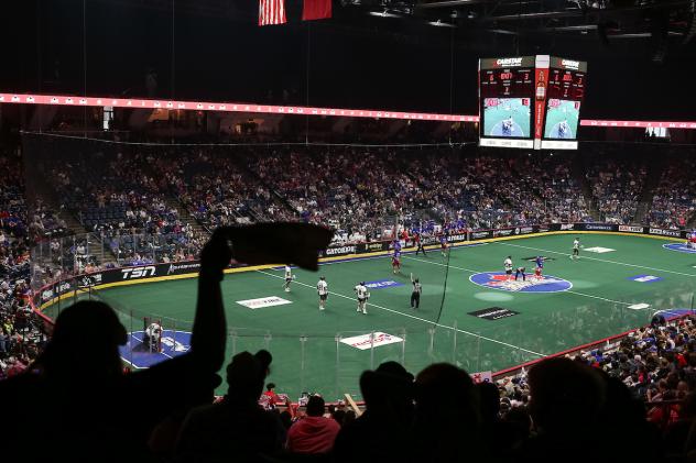 Fans cheer on the Toronto Rock