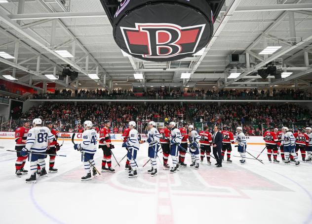 Belleville Senators and Toronto Marlies exchange handshakes postgame