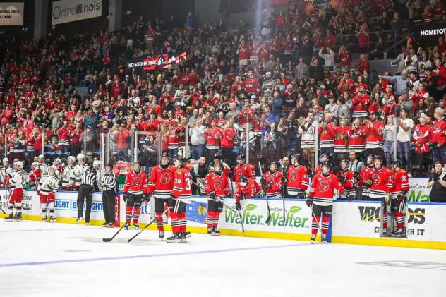 Rockford IceHogs and a big crowd at the BMO Center