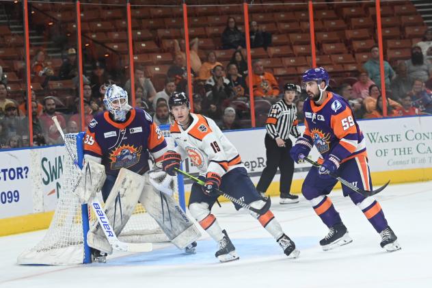 Greenville Swamp Rabbits' Colton Young and Orlando Solar Bears' Evan Fitzpatrick and Ben Carroll on the ice