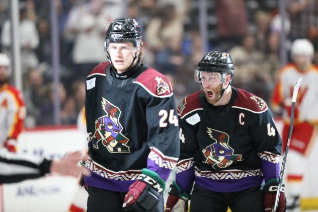 Tucson Roadrunners forward Jan Jenik (24) and defenseman Steven Kampfer