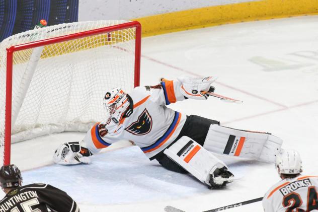 Lehigh Valley Phantoms' Cal Petersen in action