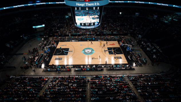 Winnipeg Sea Bears court