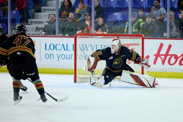 Vancouver Giants goaltender Brett Mirwald