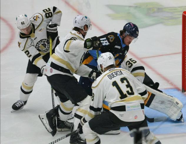 Wheeling Nailers battle the Toledo Walleye