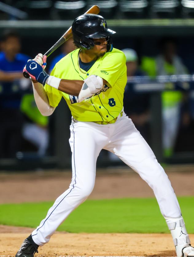 Columbia Fireflies' Austin Charles at bat