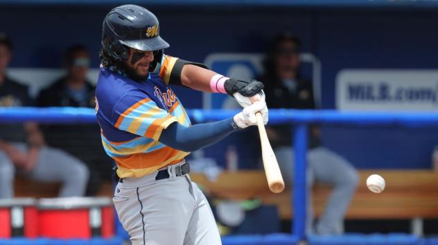 Montgomery Biscuits at bat