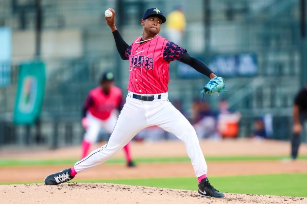 Columbia Fireflies' Felix Arronde on the mound