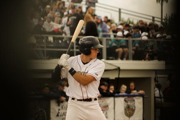 Fond du Lac Dock Spiders await a pitch