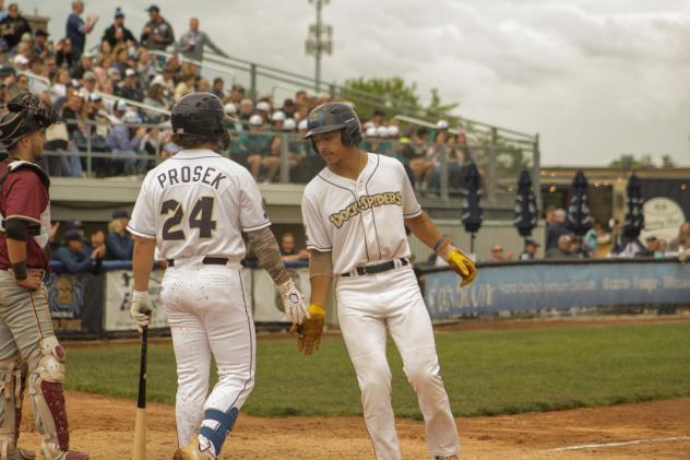 Drew Prosek of the Fond du Lac Dock Spiders heads up to bat