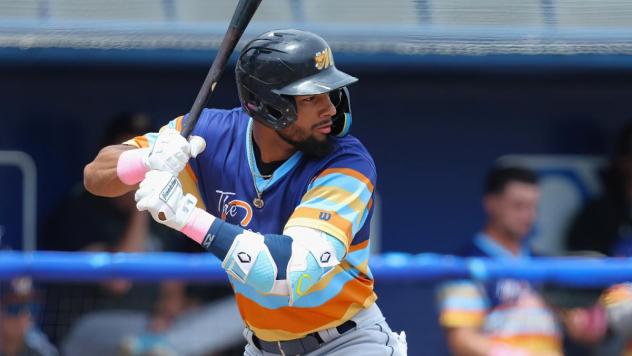 Montgomery Biscuits at bat