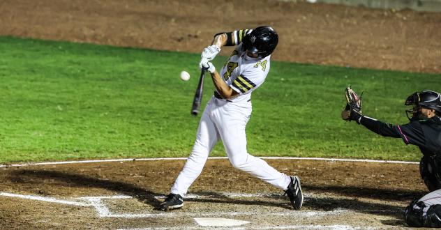 Noah Campbell at bat for the Biloxi Shuckers