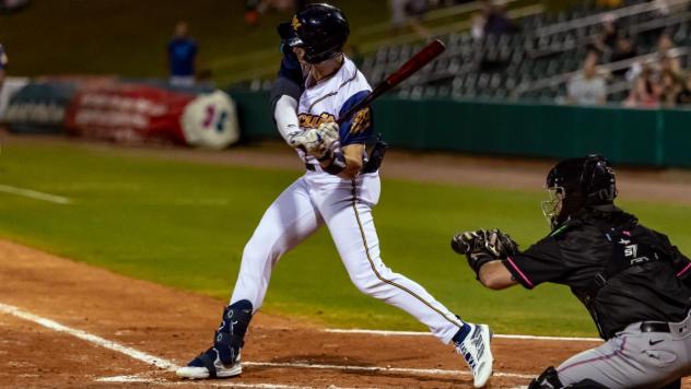 Montgomery Biscuits at bat