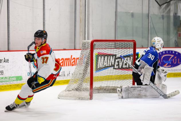 New Mexico Ice Wolves forward Ryan Seelinger