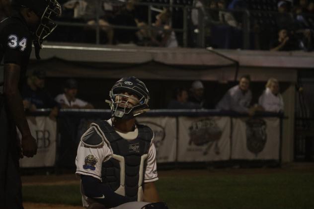 Fond du Lac Dock Spiders' Tyler Stack on game night