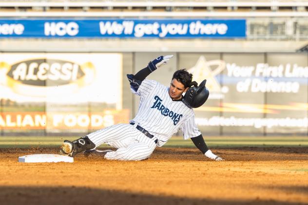 Tampa Tarpons in action