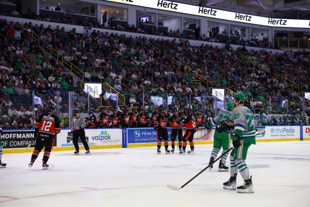 Kansas City Mavericks and the Florida Everblades on the ice