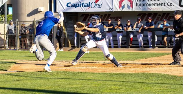 St. Cloud Rox' Andrew Savage in action