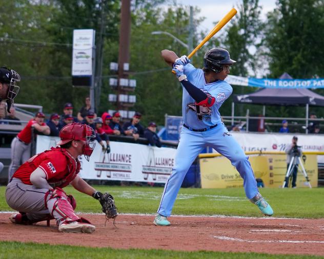 Victoria HarbourCats at bat