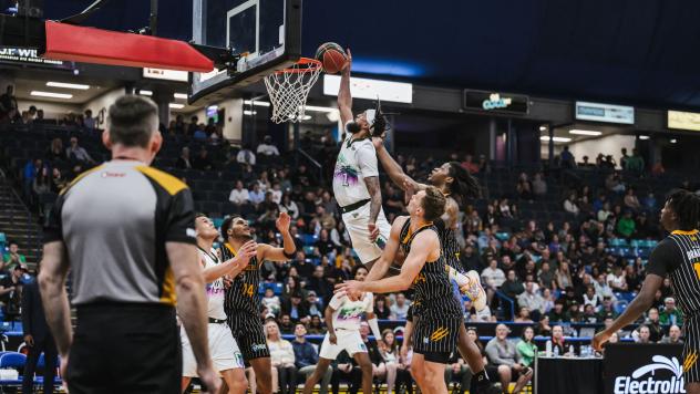 Saskatchewan Rattlers battle the Brampton Honey Badgers