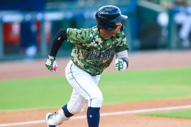 Erick Torres of the Columbia Fireflies