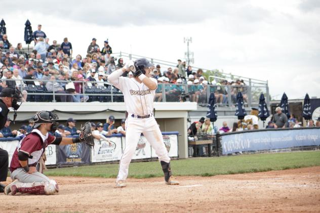Fond du Lac Dock Spiders' Kelsen Johnson at bat