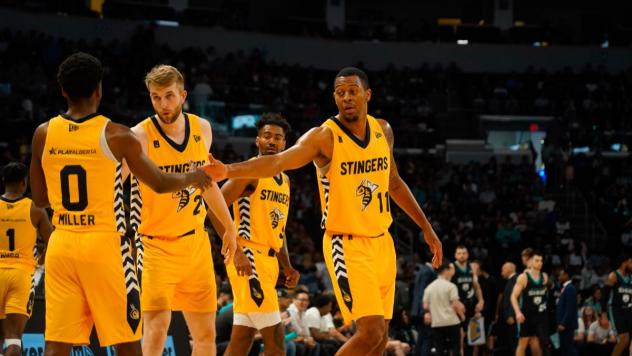 Edmonton Stingers exchange congratulations